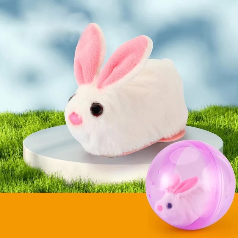 🔥Last Day Promotion 48% OFF -Hamster Running Ball Toy [BUY 2 Free Shipping]