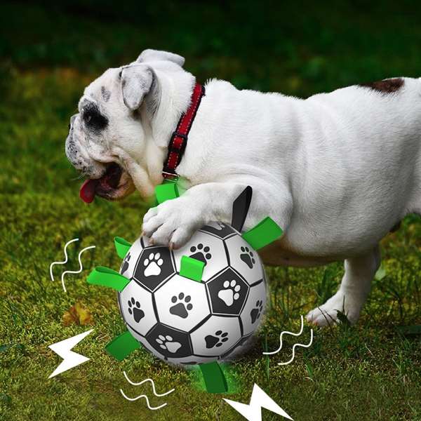 ⚽Dog toy soccer ball with grab tabs - Buy 2 get 10% off&free shipping
